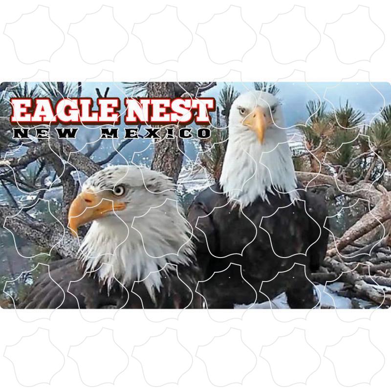 Eagle Nest, NM Bald Eagle Photo Bald Eagle Photo