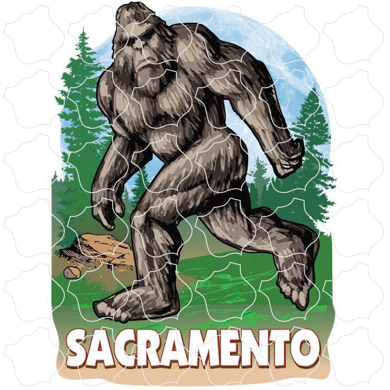 Sacramento Bigfoot In The Woods