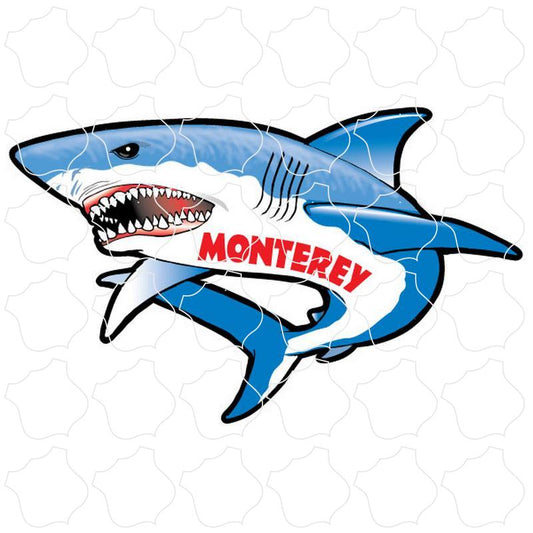 Monterey Shark Full View