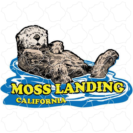 Moss Landing, CA Sea Otter Floating