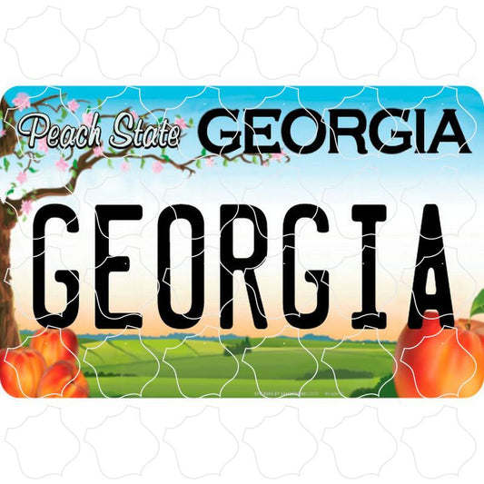 Georgia Georgia License Plate