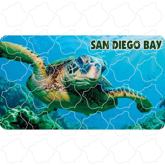 San Diego Bay, CA Sea Turtle Photo