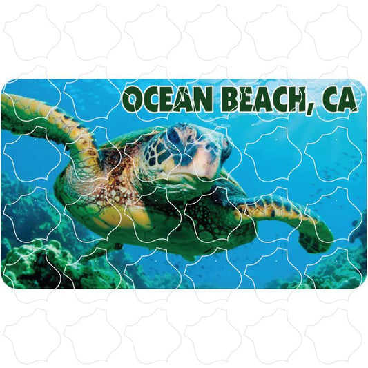 Sea Turtle Photo Ocean Beach, CA Sea Turtle Photo