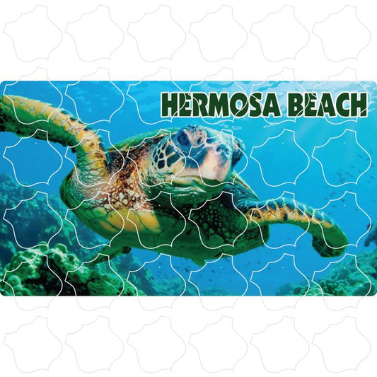 Green Sea Turtle Photo Hermosa Beach, CA Green Sea Turtle Photo