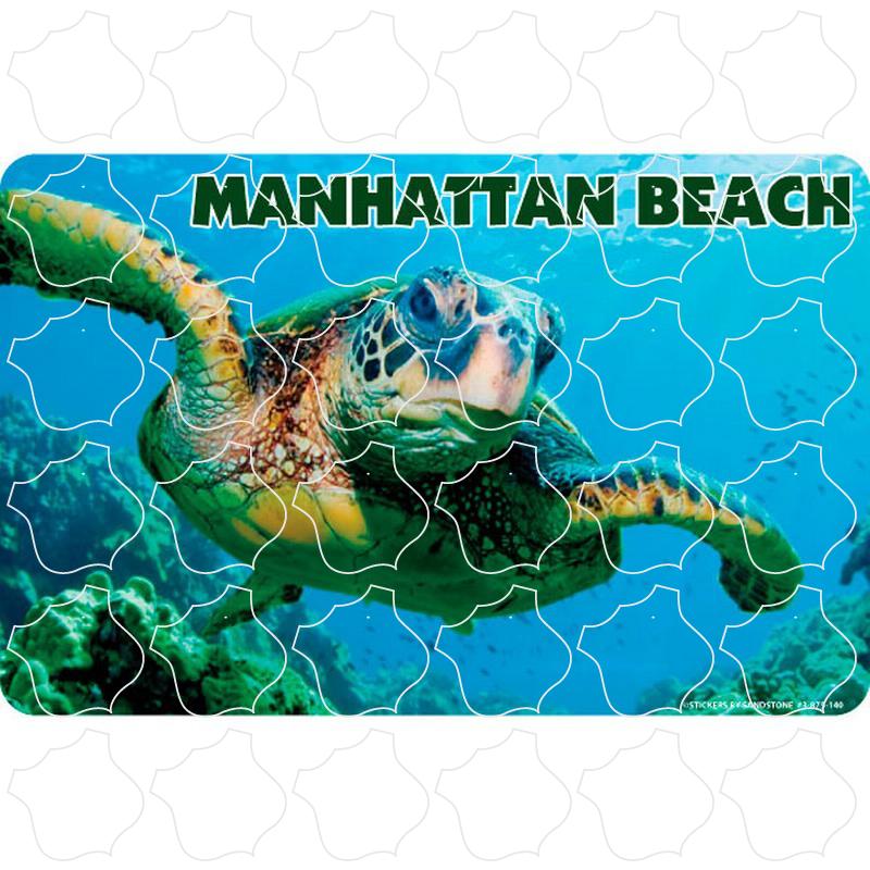 Manhattan Beach Sea Turtle Photo