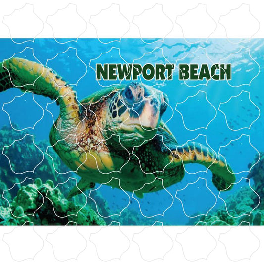 Sea Turtle Photo Newport Beach, CA Sea Turtle Photo