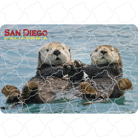 San Diego, CA Sea Otters Photo