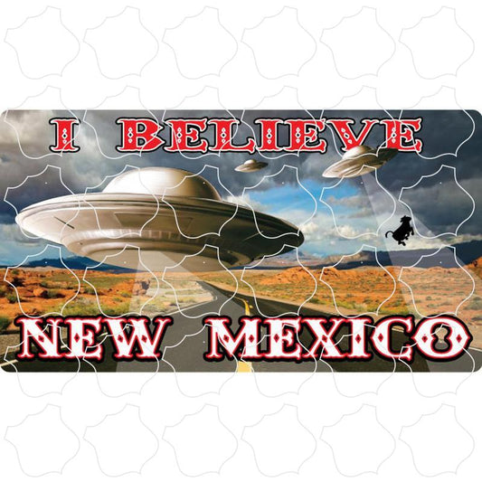 New Mexico Flying Saucer Photo