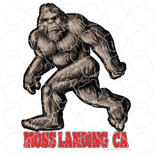 Moss Landing, CA Angry Bigfoot