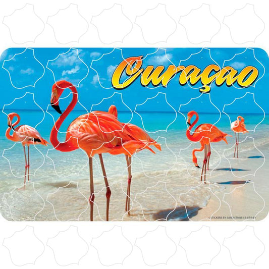 Curacao Flamingo Photo