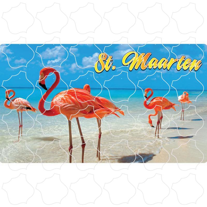 St Maarten Flamingos Photo