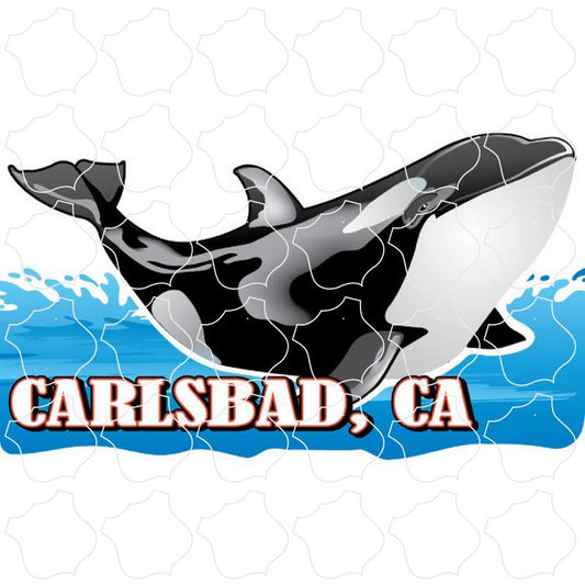 Carlsbad, CA Orca