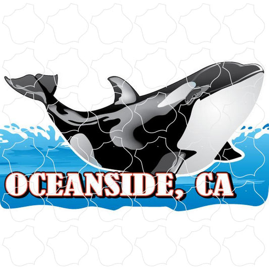 Oceanside, California Orca