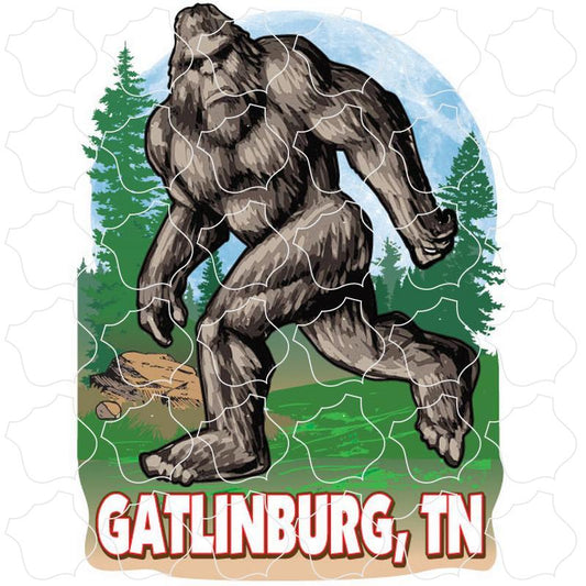 Gatlinburg, TN Bigfoot In The Woods