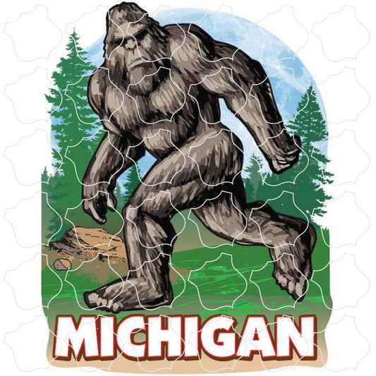 Michigan Bigfoot In The Woods