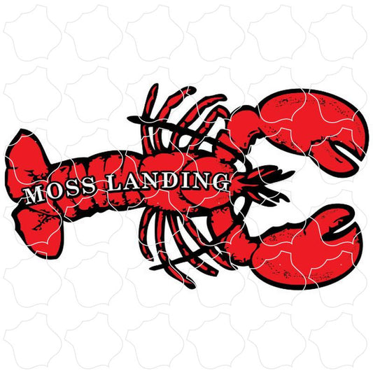 Lobster Moss Landing, CA Lobster