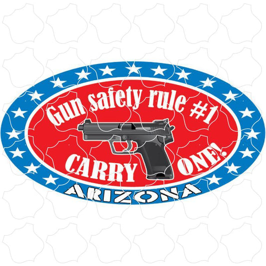 Arizona Gun Rule