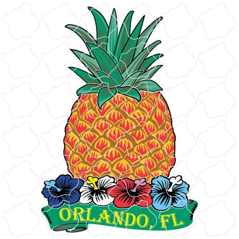 Orlando, FL Pineapple