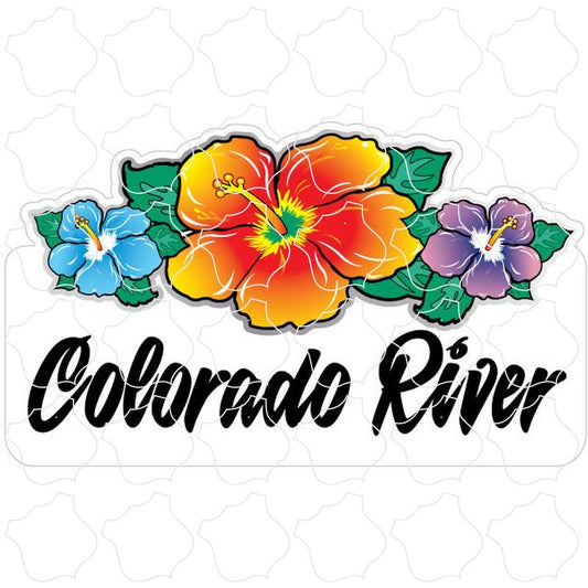 Colorado River Triple Hibiscus