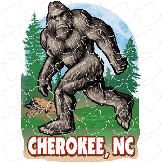 Cherokee, NC Bigfoot In The Woods