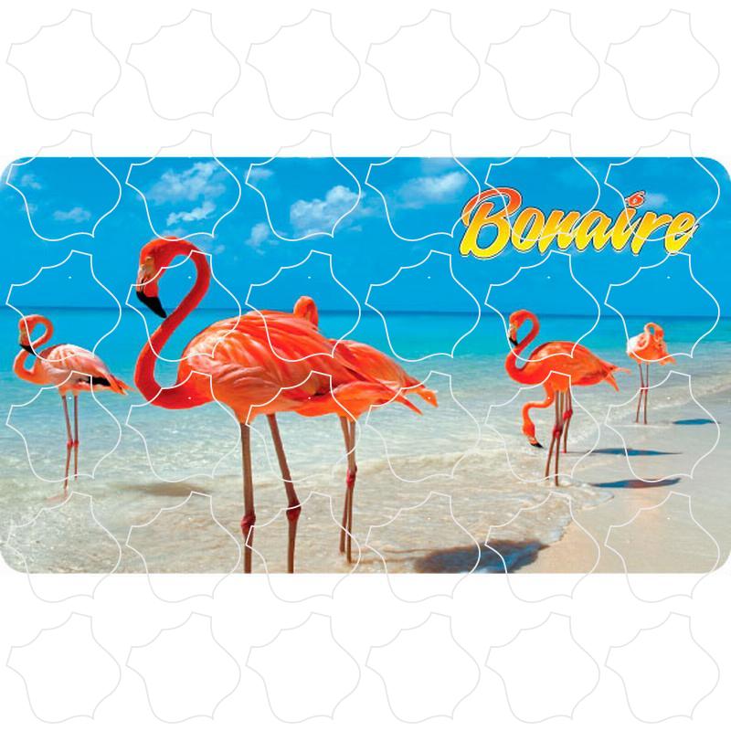 Bonaire Flamingo Photo