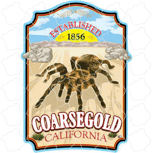 Coarsegold, California Tarantula