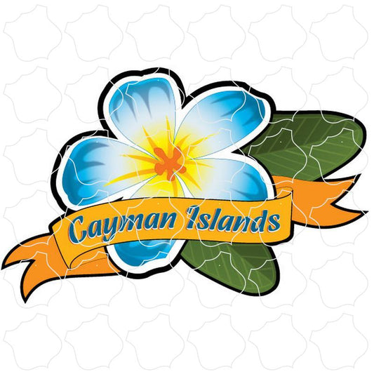 Cayman Islands Blue Plumeria with Banner