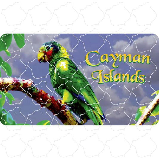 Cayman Islands Parrot on Branch