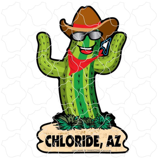 Chloride, Arizona Happy Cactus Guy