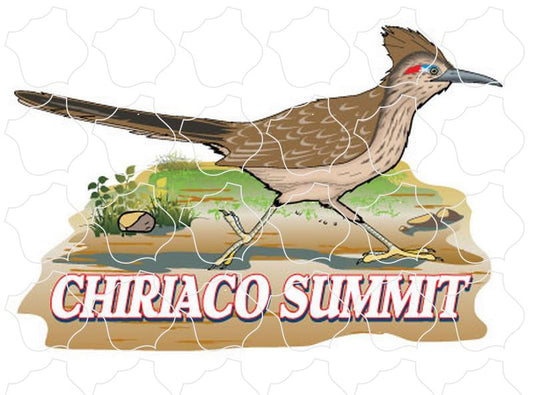 Chiriaco Summit Road Runner