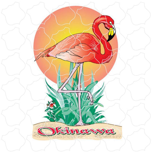 Okinawa Florida Flamingo with Sun