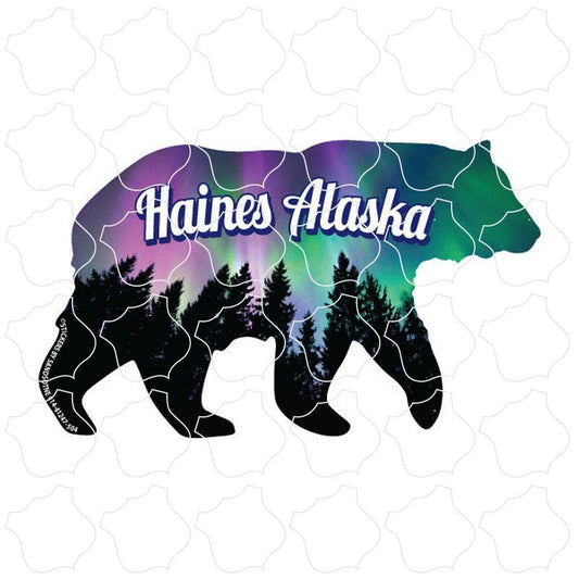 Haines Alaska Northern Lights Bear