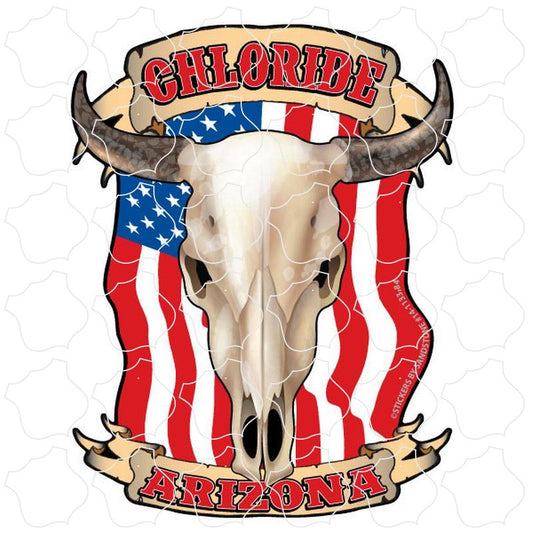 Chloride, Arizona Flag Steer Skull