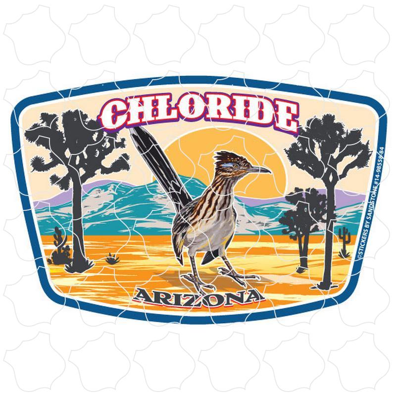 Chloride, Arizona Desert Roadrunner
