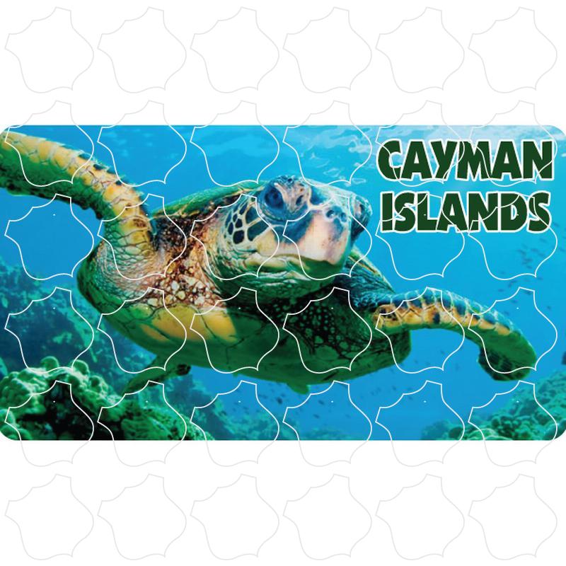 Cayman Islands B.W.I Sea Turtle Photo