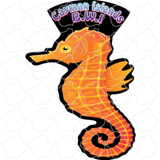 Cayman Islands B.W.I Orange Sea Horse