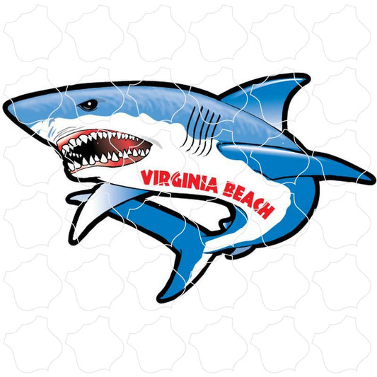 Virginia Beach, Virginia Shark Full View