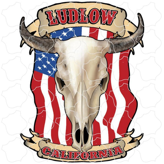 Ludlow, California Flag Steer Skull