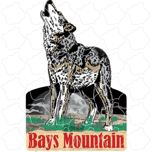 Bays Mountain Wolf Moon