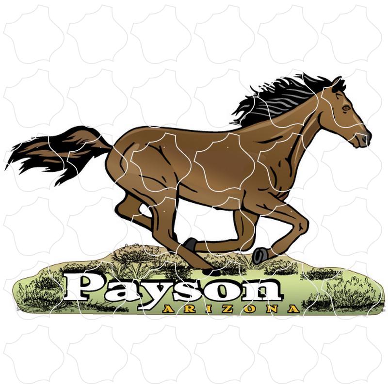 Payson, Arizona Galloping Horse