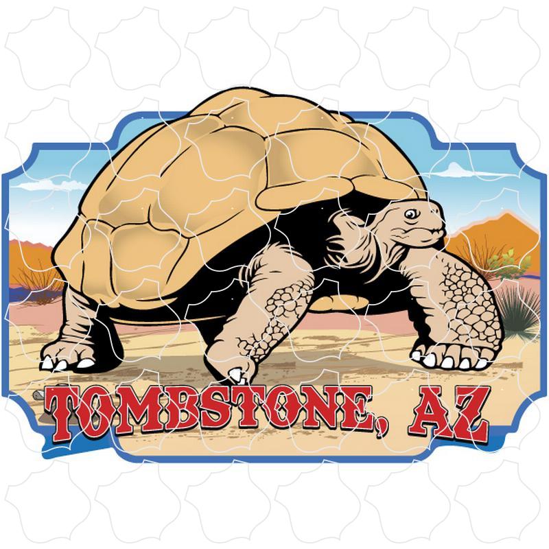 Tombstone, AZ Desert Tortoise