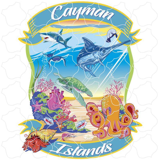 Cayman Islands Sea Life Underwater