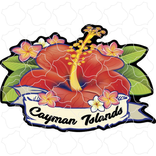 Cayman Islands Red Hibiscus Flower w Banner