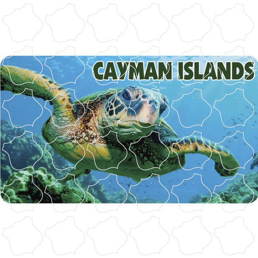 Cayman Islands Sea Turtle Photo