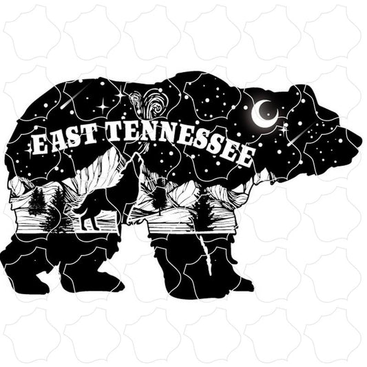 East Tennessee Bear with Mountain Night Scene