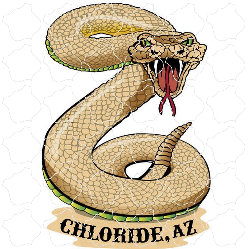 Chloride, AZ Rattlesnake