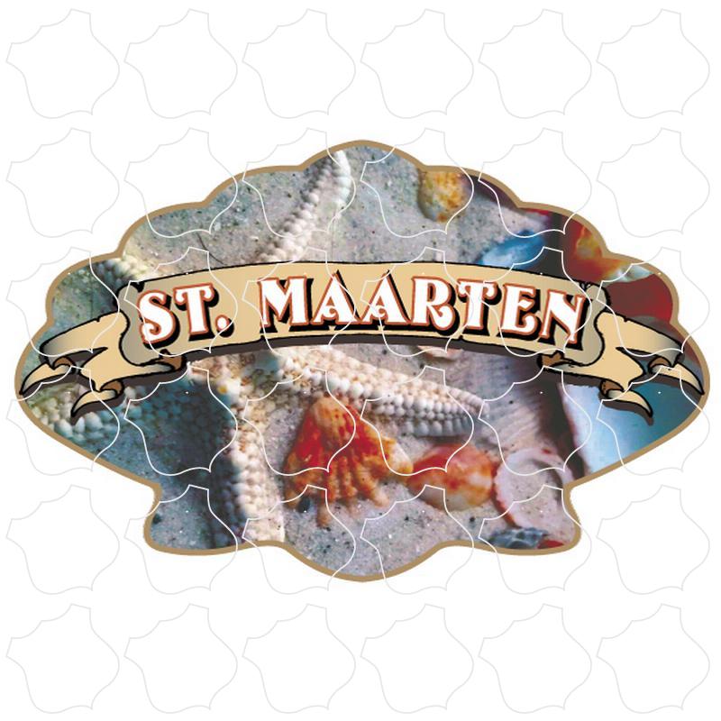 St. Maarten Seashells