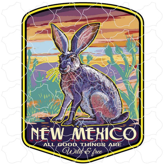 New Mexico Desert Hare Rabbit