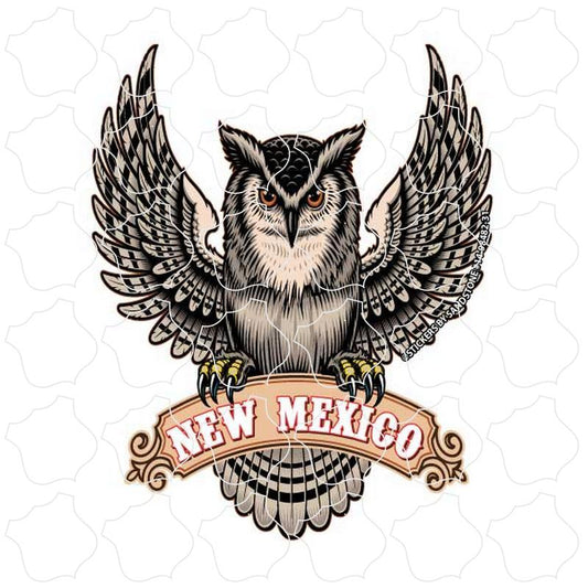 New Mexico Owl Spread Wings